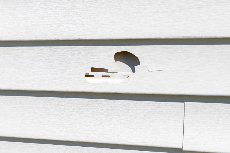 Siding Repair Consultation